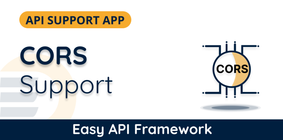 API CORS Config